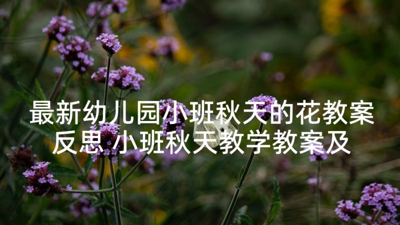 最新幼儿园小班秋天的花教案反思 小班秋天教学教案及反思(通用5篇)