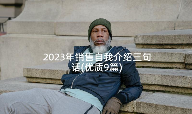 2023年销售自我介绍三句话(优质9篇)