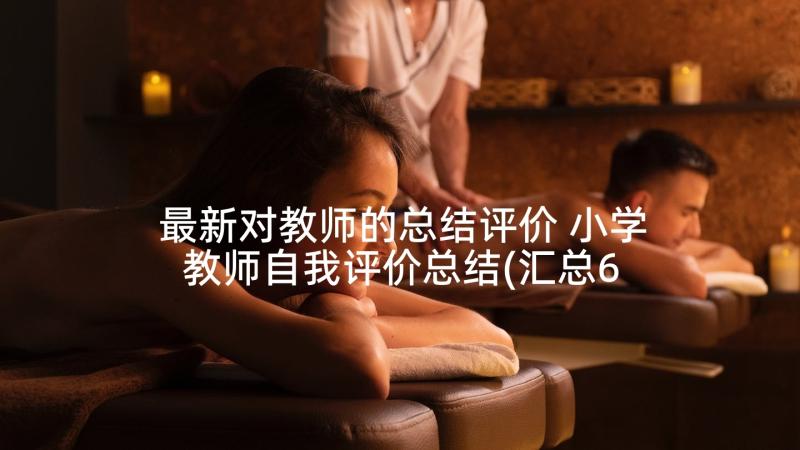 最新对教师的总结评价 小学教师自我评价总结(汇总6篇)