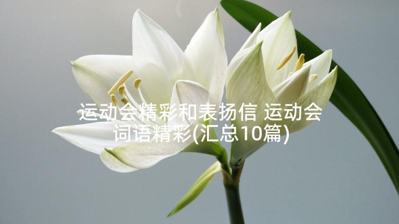 运动会精彩和表扬信 运动会词语精彩(汇总10篇)