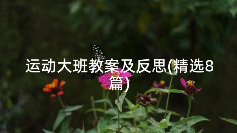 运动大班教案及反思(精选8篇)