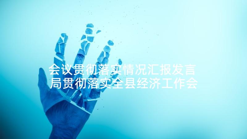 会议贯彻落实情况汇报发言 局贯彻落实全县经济工作会议情况汇报(精选5篇)