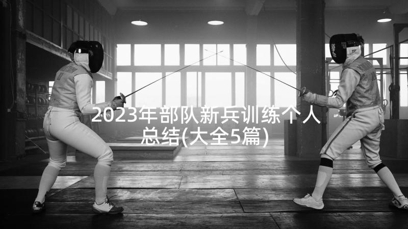 2023年部队新兵训练个人总结(大全5篇)