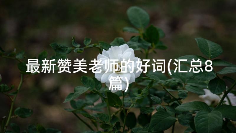 最新赞美老师的好词(汇总8篇)