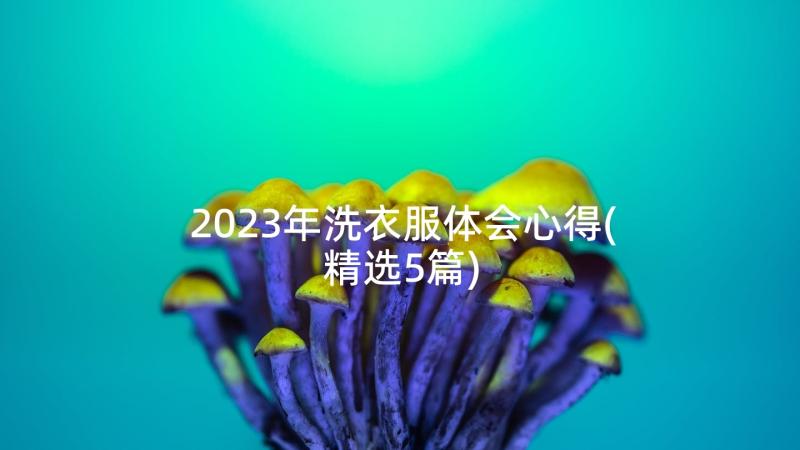 2023年洗衣服体会心得(精选5篇)