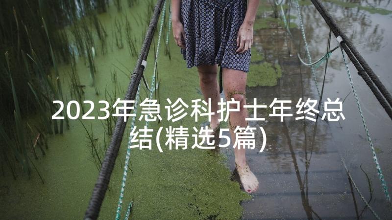 2023年急诊科护士年终总结(精选5篇)