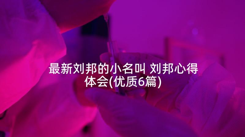 最新刘邦的小名叫 刘邦心得体会(优质6篇)