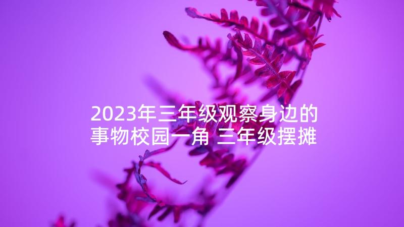 2023年三年级观察身边的事物校园一角 三年级摆摊心得体会(模板5篇)