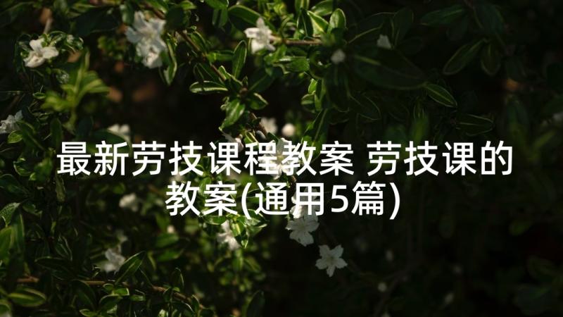 最新劳技课程教案 劳技课的教案(通用5篇)