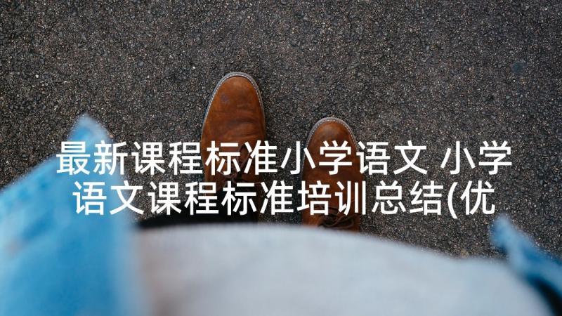 最新课程标准小学语文 小学语文课程标准培训总结(优质8篇)