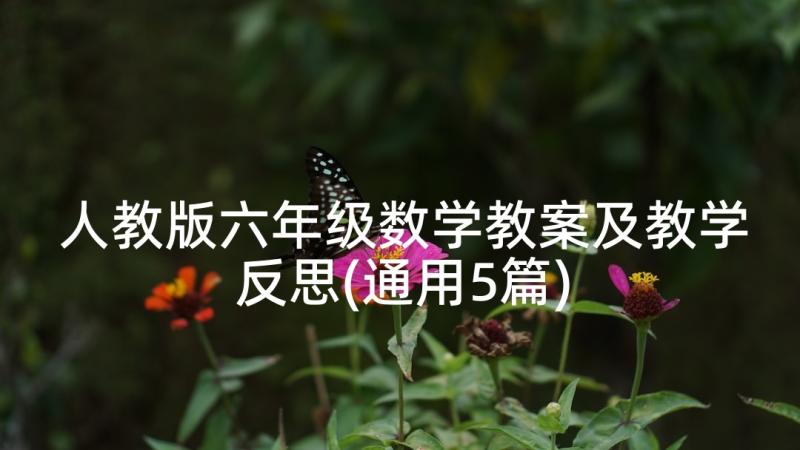 人教版六年级数学教案及教学反思(通用5篇)