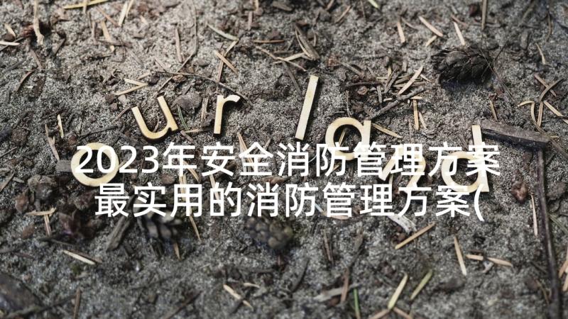 2023年安全消防管理方案 最实用的消防管理方案(优质10篇)