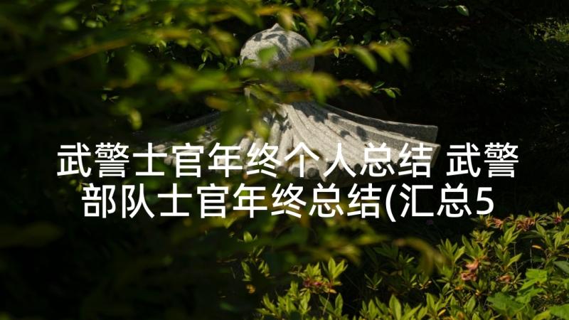 武警士官年终个人总结 武警部队士官年终总结(汇总5篇)