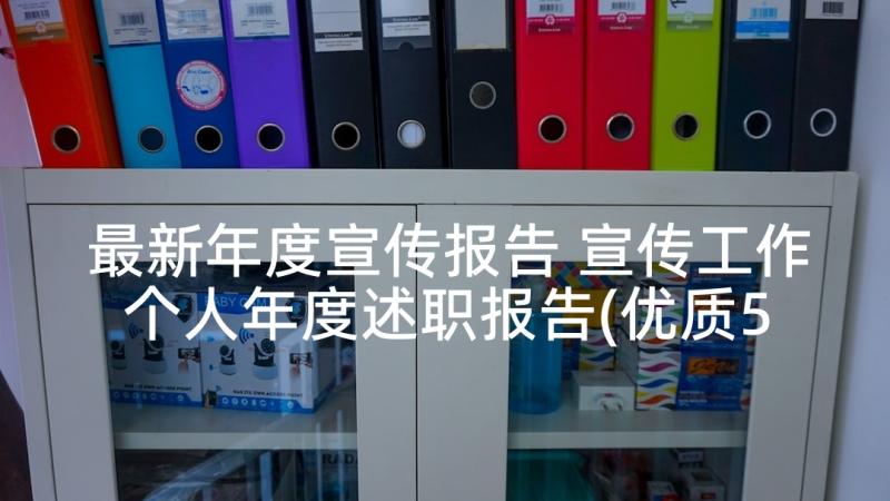 最新年度宣传报告 宣传工作个人年度述职报告(优质5篇)