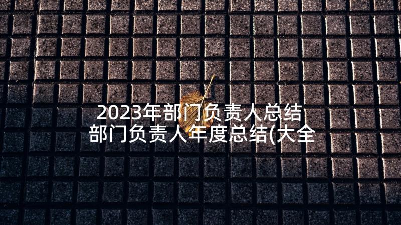 2023年部门负责人总结 部门负责人年度总结(大全5篇)