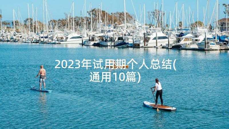 2023年试用期个人总结(通用10篇)