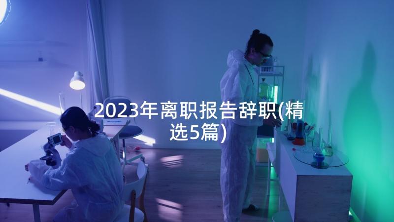 2023年离职报告辞职(精选5篇)