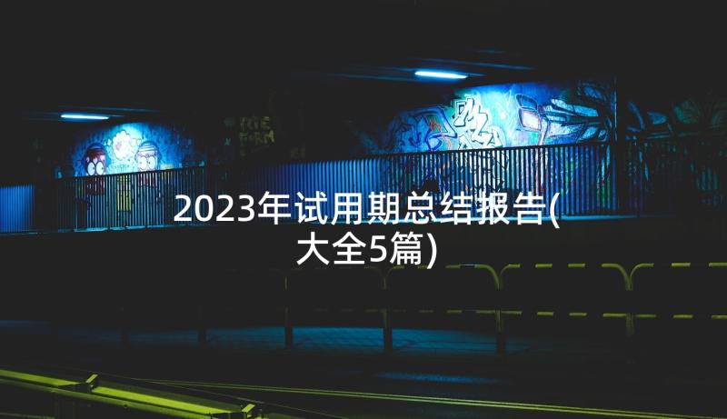 2023年试用期总结报告(大全5篇)