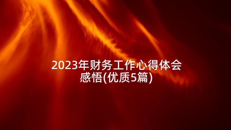 2023年财务工作心得体会感悟(优质5篇)