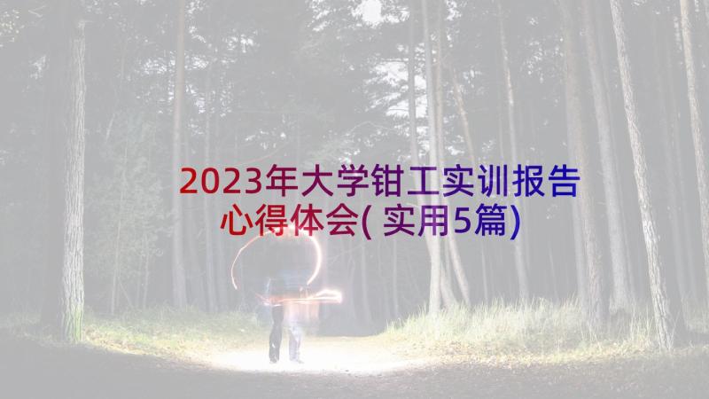 2023年大学钳工实训报告心得体会(实用5篇)