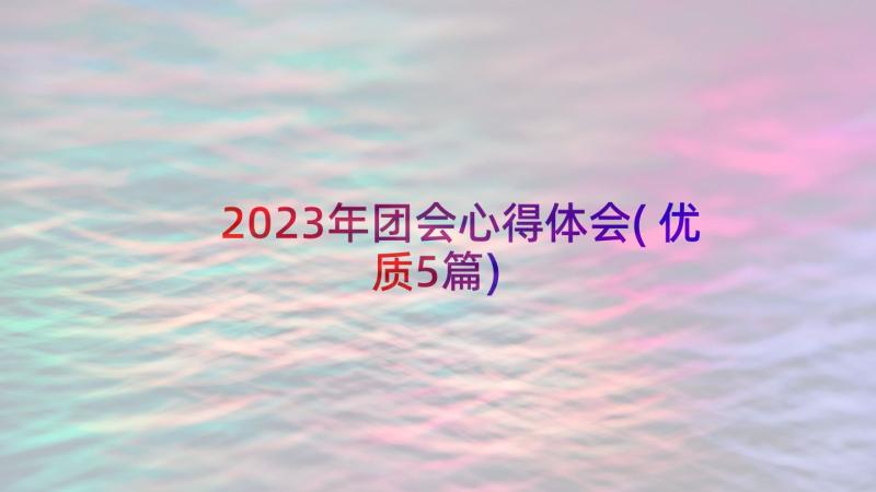 2023年团会心得体会(优质5篇)