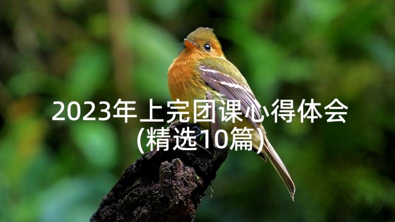 2023年上完团课心得体会(精选10篇)