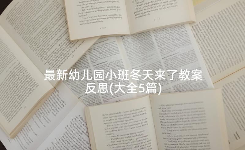 最新幼儿园小班冬天来了教案反思(大全5篇)