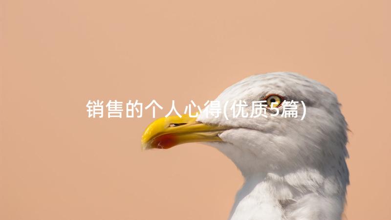 销售的个人心得(优质5篇)