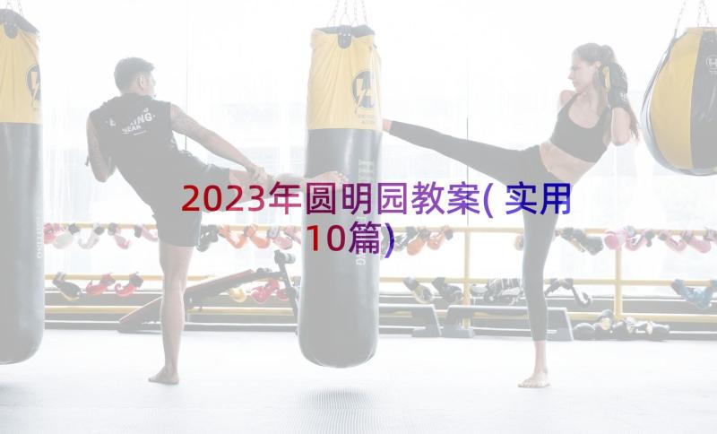 2023年圆明园教案(实用10篇)