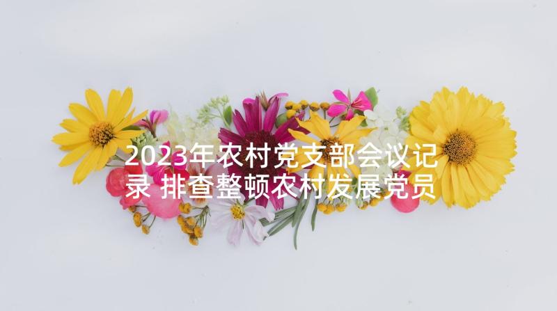 2023年农村党支部会议记录 排查整顿农村发展党员问题会议记录集合(大全5篇)