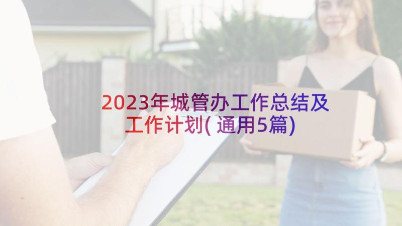 2023年城管办工作总结及工作计划(通用5篇)