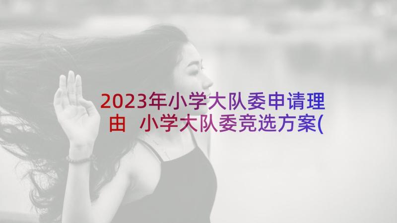 2023年小学大队委申请理由 小学大队委竞选方案(精选9篇)