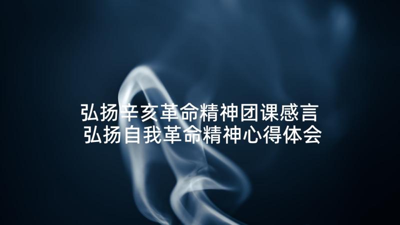 弘扬辛亥革命精神团课感言 弘扬自我革命精神心得体会(大全5篇)