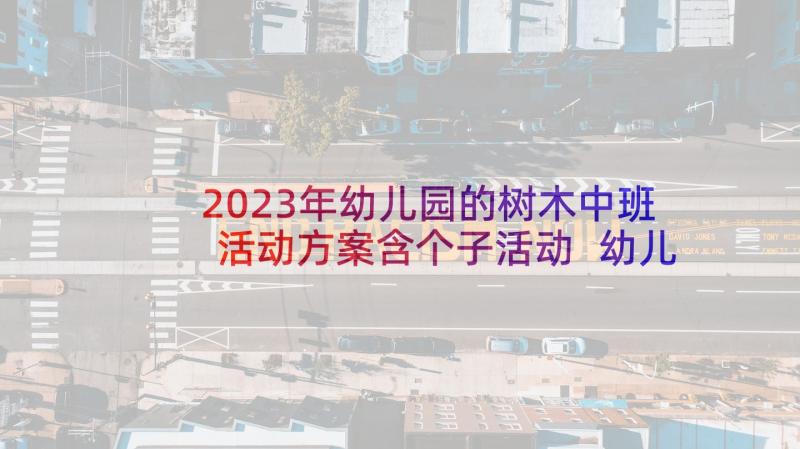 2023年幼儿园的树木中班活动方案含个子活动 幼儿园中班活动方案(模板5篇)