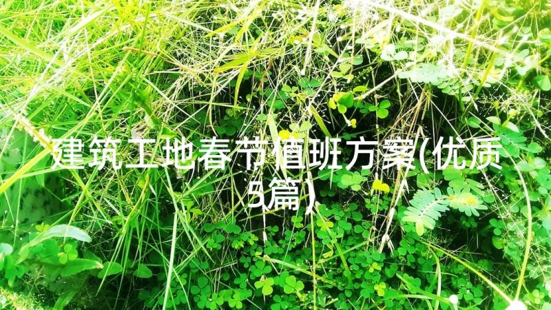 建筑工地春节值班方案(优质5篇)