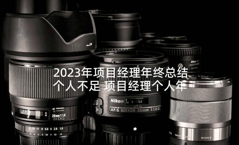 2023年项目经理年终总结个人不足 项目经理个人年终总结(大全5篇)