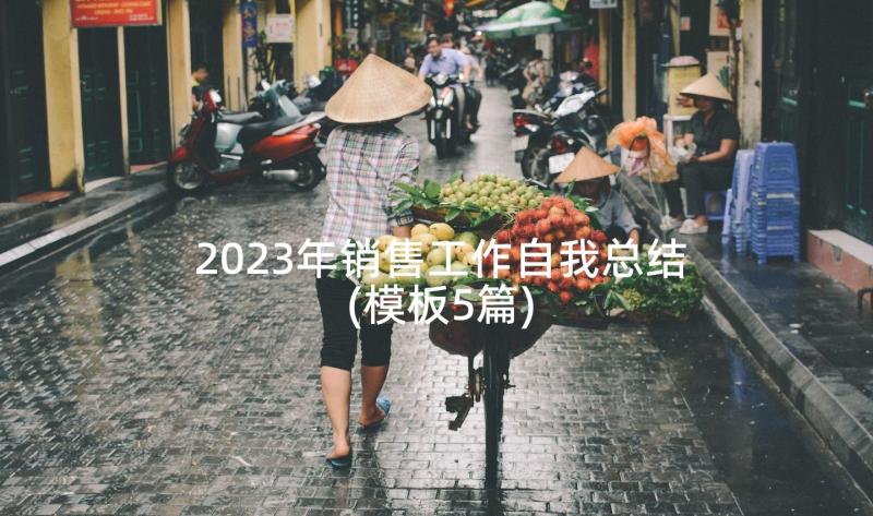 2023年销售工作自我总结(模板5篇)