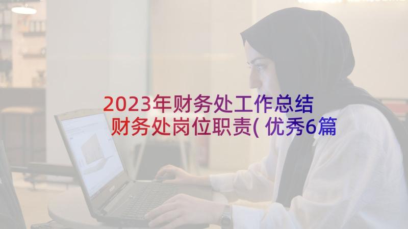 2023年财务处工作总结 财务处岗位职责(优秀6篇)