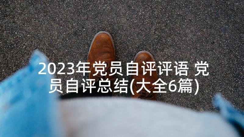 2023年党员自评评语 党员自评总结(大全6篇)