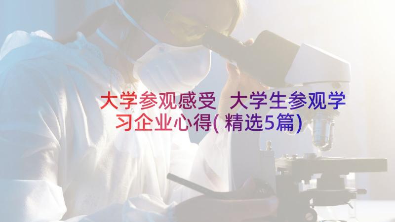 大学参观感受 大学生参观学习企业心得(精选5篇)