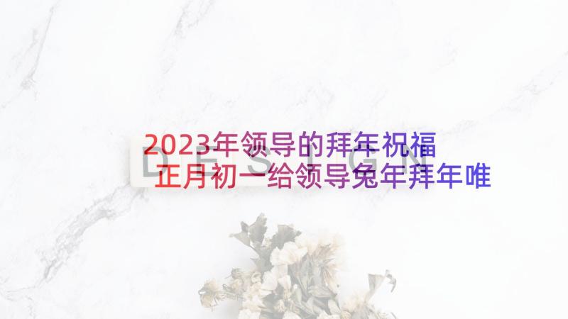 2023年领导的拜年祝福 正月初一给领导兔年拜年唯美祝福语(汇总10篇)