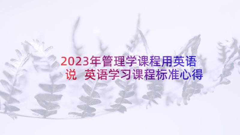 2023年管理学课程用英语说 英语学习课程标准心得体会(汇总5篇)