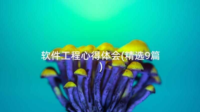 软件工程心得体会(精选9篇)