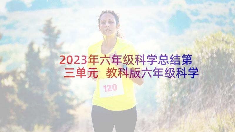 2023年六年级科学总结第三单元 教科版六年级科学总结(精选10篇)