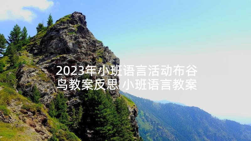 2023年小班语言活动布谷鸟教案反思 小班语言教案反思(精选6篇)