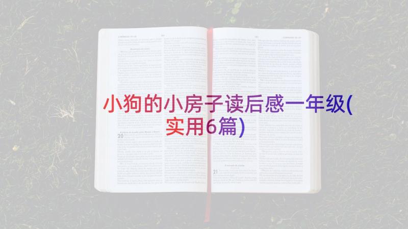 小狗的小房子读后感一年级(实用6篇)