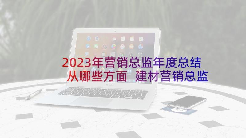 2023年营销总监年度总结从哪些方面 建材营销总监年度总结(模板5篇)