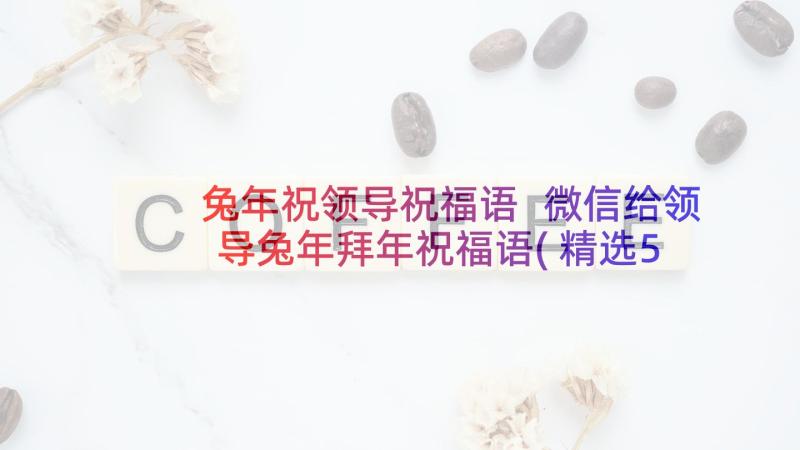 兔年祝领导祝福语 微信给领导兔年拜年祝福语(精选5篇)