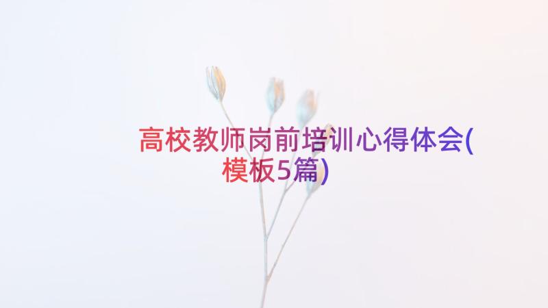 高校教师岗前培训心得体会(模板5篇)