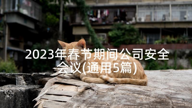 2023年春节期间公司安全会议(通用5篇)